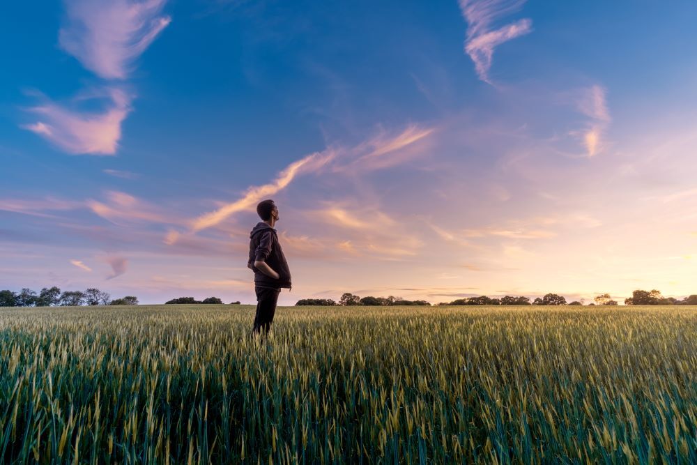 Image de fond de l'article